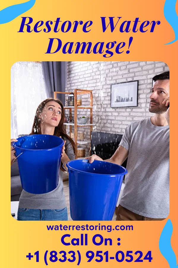water restoration Trusted Water Cleanup Network Hiltons